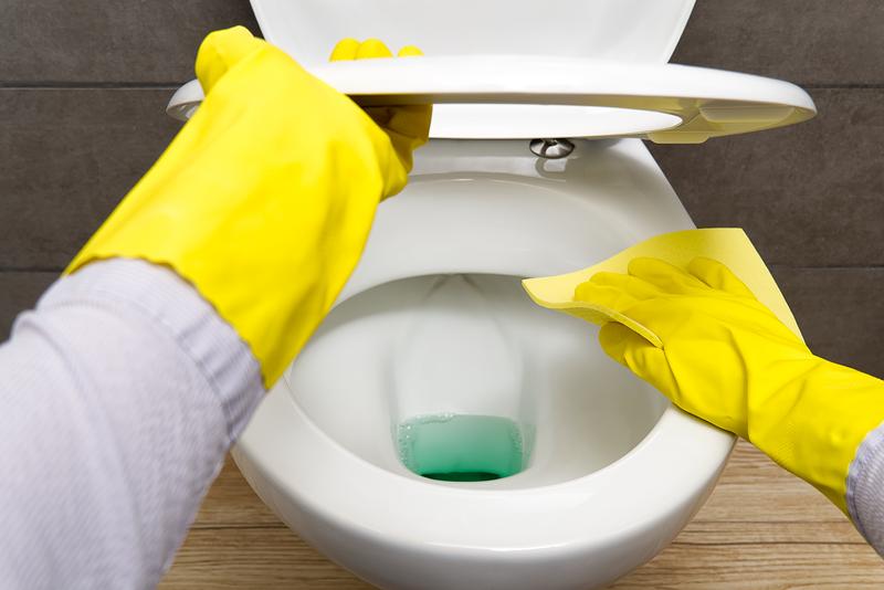 immoclean wcreinigung